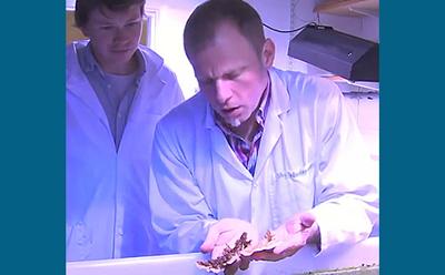 Professor Joerg Wiedenmann