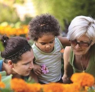 Ageing Research 2013 Brochure