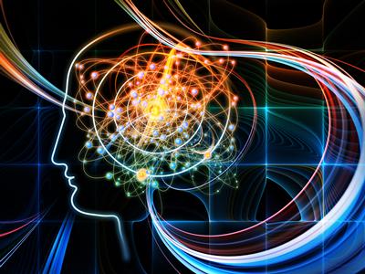 Information about Intellectual Property