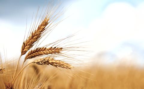 Food security 