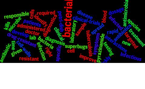 wordle