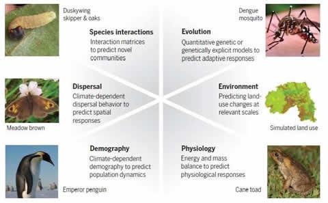 research image