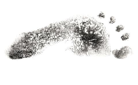 Carbon cycling