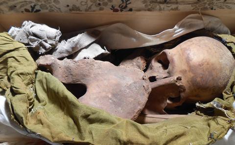 Bodies and bones