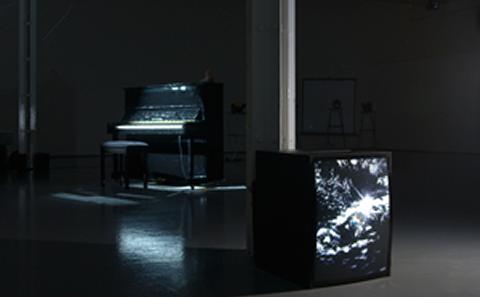 The Coy Lover (2011)