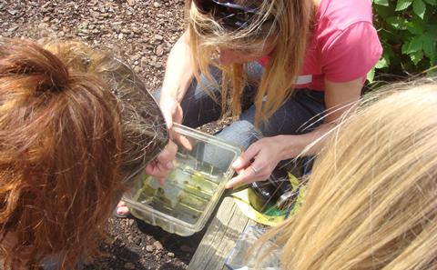 Sample collecting