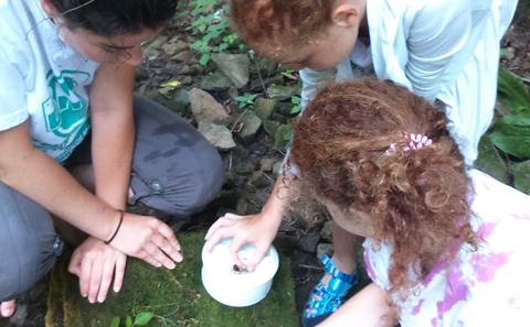 outdoor activity