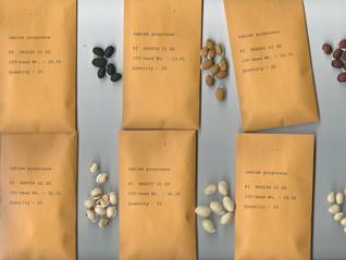 Variation in seed characteristics