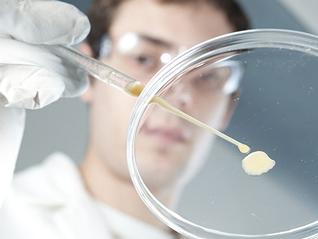 Plating cells for protein expression