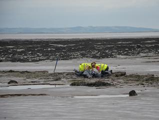 Intertidal Excavations