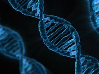 DNA helices