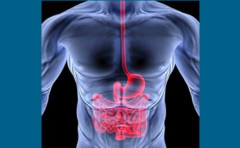 Cancers of the gastrointestinal tract 