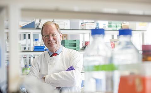 Professor Stephen Holgate