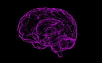 Illustration of a brain