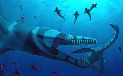 Artist's impression of plesiosaurs
