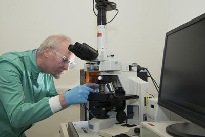 Professor Bill Keevil