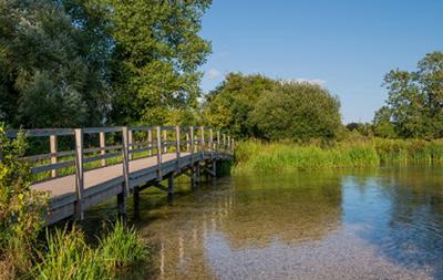 Chalk Streams