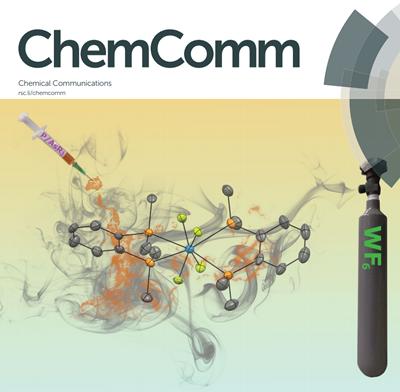 Front cover of RSC's publication