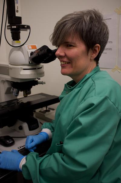 Dr Sandra Wilks