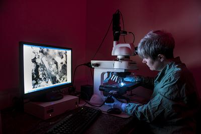 Biofilm research