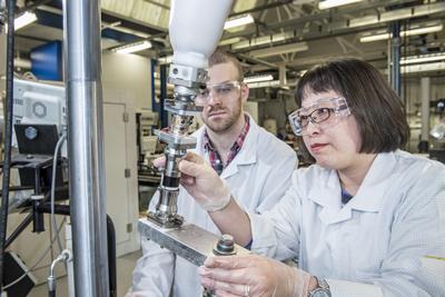 Professor Liudi Jiang