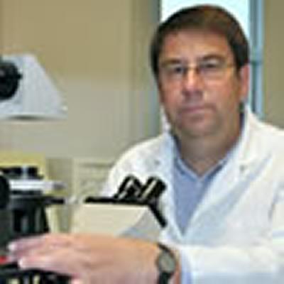 Professor Philip Calder