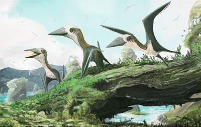 Pterosaur