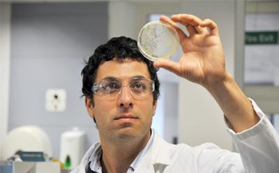 Professor Ali Tavassoli