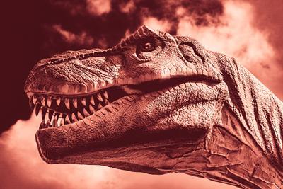 T-Rex skulls