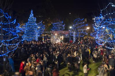 Christmas scene