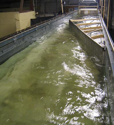 ICER flume press