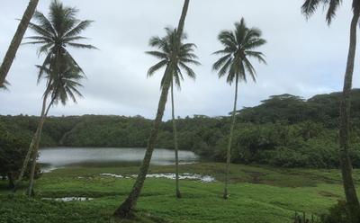Lake Te Roto on Atiu