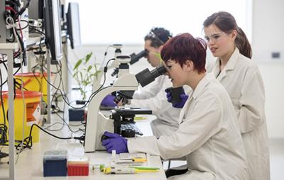 Undergraduate teaching laboratory