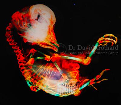 Image of winning image