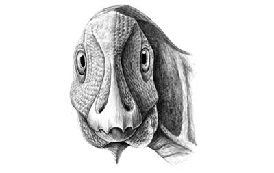 Artwork by Mihai Dumbravă