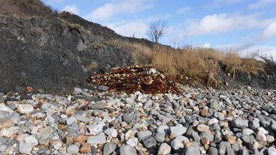 Environmental risks of landfill