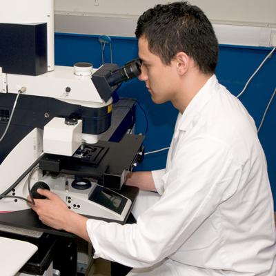 Imaging and Microscopy Centre