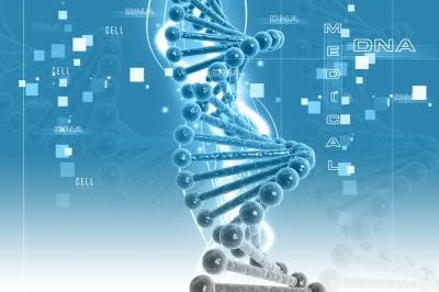 DNA strand