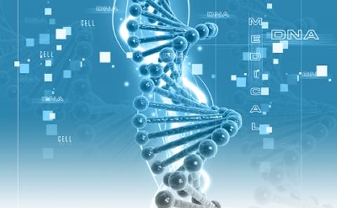 DNA strand