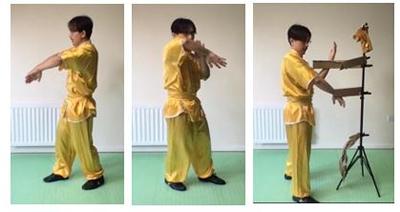 Wing Chun