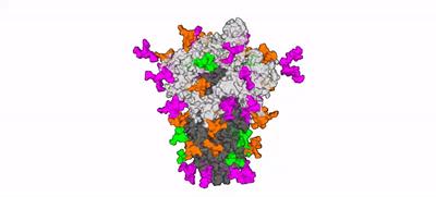 COVID19 Spike