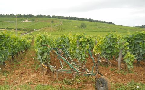 Cart in Burgundy Vineyards 