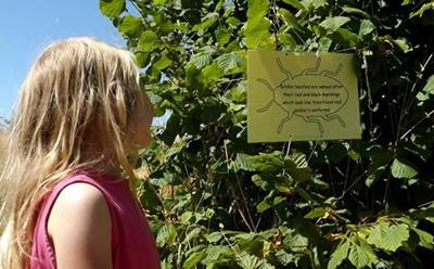 Engaging with the environment