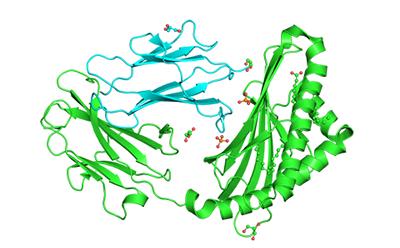 PDB 5c9j coloured by chain
