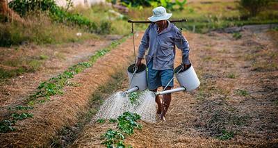 Sustainable development goals