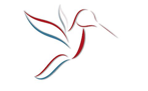 hummingbird logo