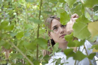Biological Sciences