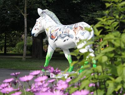 Marwell's Zany Zebras