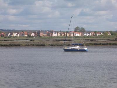 Image of wetlands