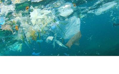 Marine plastics